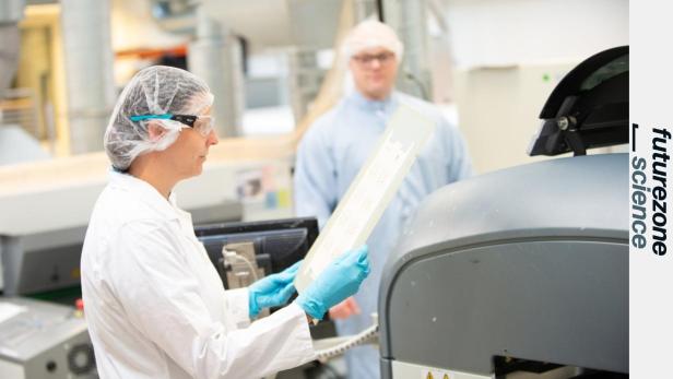 Teststreifen spüren Keime auf