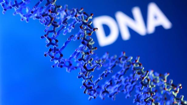 Das Bild zeigt eine Illustration einer DNA-Doppelhelix, dem Träger des Erbgutes, mit der Aufschrift DNA.
