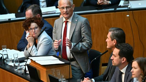 NATIONALRAT MIT BUDGETREDE: ZEHETNER (ÖVP)  / MARTERBAUER (SPÖ)