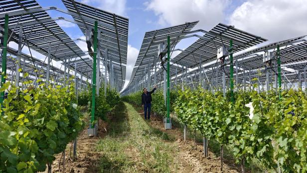 Agri-PV Zistersdorf