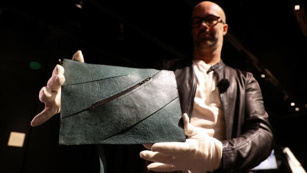 Handbag derived from T.rex fossil to be auctioned in Paris