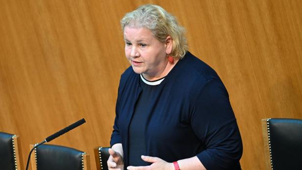 NATIONALRAT MIT BUDGETREDE: SCHUMANN (SPÖ)