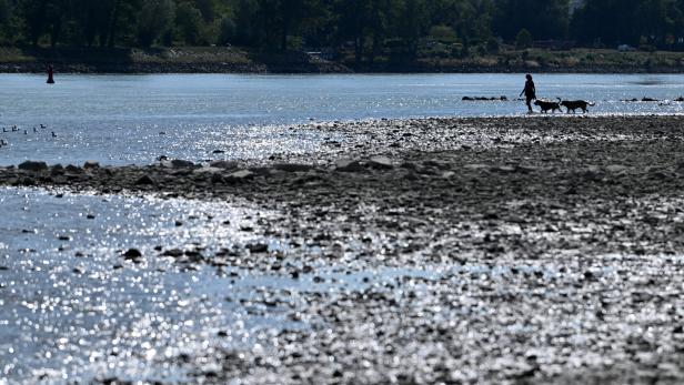++ THEMENBILD ++ KLIMA / TROCKENHEIT / WASSER / DONAU