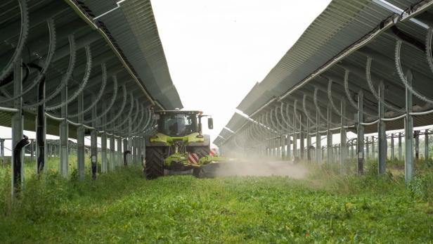 Ein Traktor mäht Gras zwischen langen Reihen von Solarmodulen und wirbelt Staub auf.