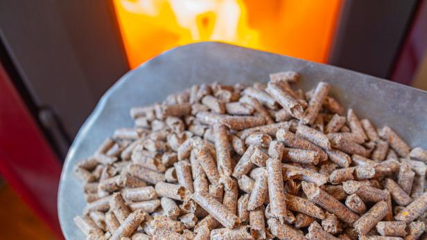 Pellets auf einer Schaufel vor einem Pelletsofen.