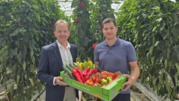 Zwei Männer halten in einem Gewächshaus eine Kiste mit buntem Gemüse vor hohen Paprikapflanzen.