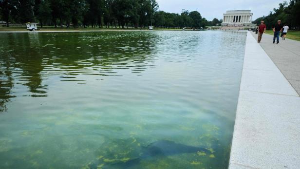Menschen spazieren am Reflecting Pool entlang, im Hintergrund ist das Lincoln Memorial in Washington, D.C. zu sehen.
