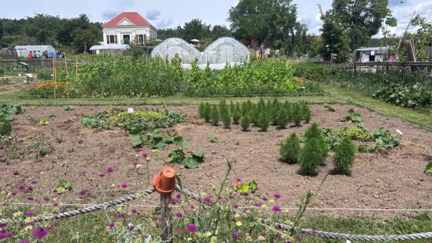Gemüsegarten mit Beeten, Gewächshäusern und einem Haus im Hintergrund.