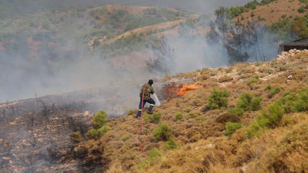 Waldbrand