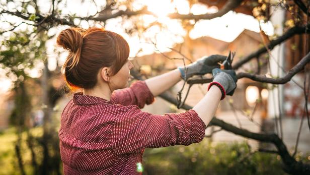 Tipps für den Garten