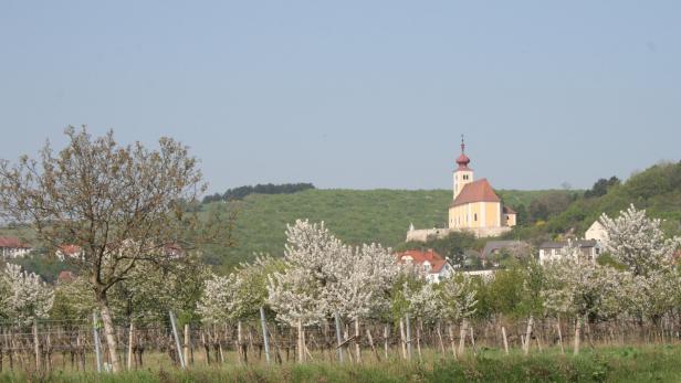 Kirche auf einem Hügel über blühenden Obstbäumen und Dorfhäusern.