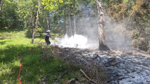Feuerwehrmann löscht Waldboden mit Schlauch im verbrannten Waldgebiet.