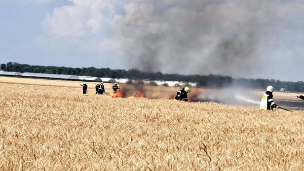 Feuerwehrleute löschen einen Brand in einem Getreidefeld unter dichter Rauchwolke.