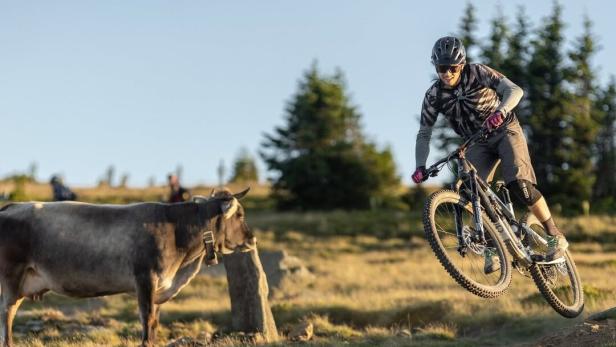 Die Wexl-Trails peilen 100.000 Ersteintritte von Mountainbikern pro Jahr an.