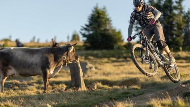 Die Wexl-Trails peilen 100.000 Ersteintritte von Mountainbikern pro Jahr an.