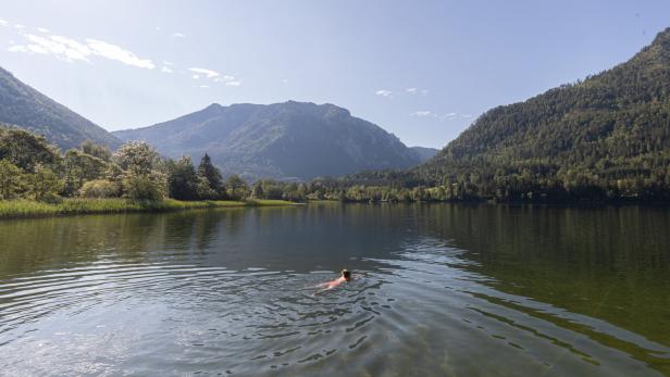 Abkühlung im See