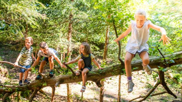 Vier Kinder balancieren auf einem umgestürzten Baumstamm im Wald.