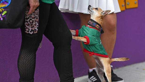 TOPSHOT-FBL-WC-2026-MATCH53-CZE-MEX-FANS