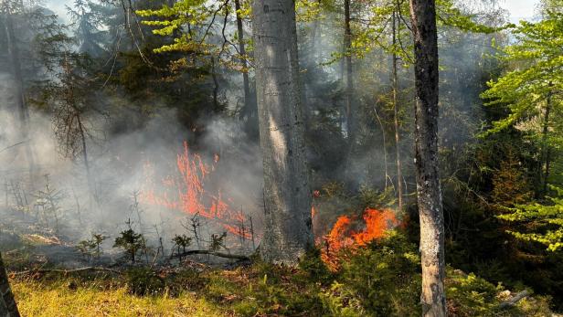 ++ HANDOUT ++ STEIERMARK: WIND BEFEUERT WALDBRAND NÖRDLICH VON GRAZ