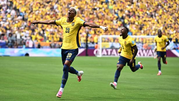 FIFA World Cup 2026 - Group E - Ecuador v Germany