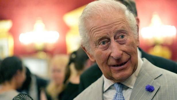 König Charles III. trägt einen grauen Anzug mit einer blauen Krawatte und einer violetten Ansteckblume vor einem roten Hintergrund.