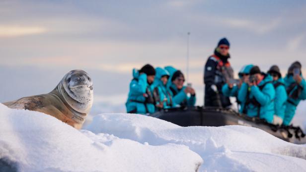 Antarktis-Expedition von Wien: Eine 24-tägige Expeditionsreise mit der SH Diana führt 2027 zu Eisbergen, Pinguinkolonien und Südgeorgien.