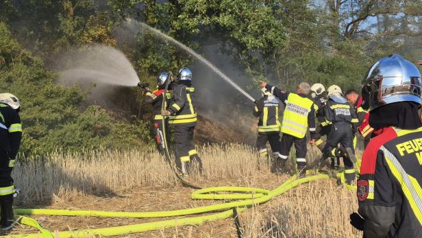Löscheinsatz bei Waldbrand