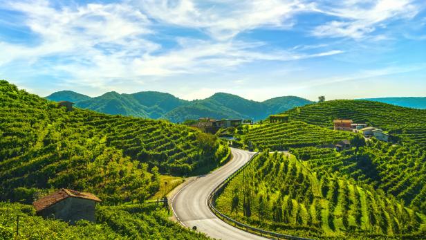 Vineyards and road. Prosecco Hills, Unesco Site. Valdobbiadene, Veneto, Italy