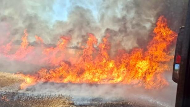 Flammen breiten sich über ein Feld aus.