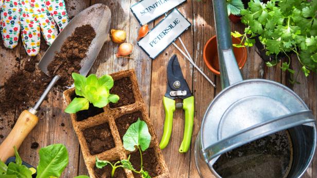 Gartengeräte, Töpfe, Setzlinge und Kräuter auf einem Holztisch für die Aussaat und Pflege im Garten.