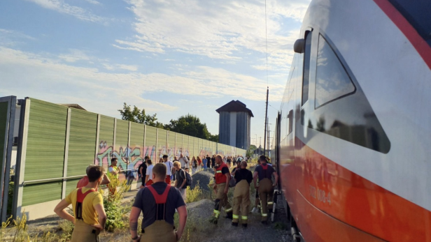Ein Bild des Regionalzuges und dutzender Passagiere bei der Evakuierung