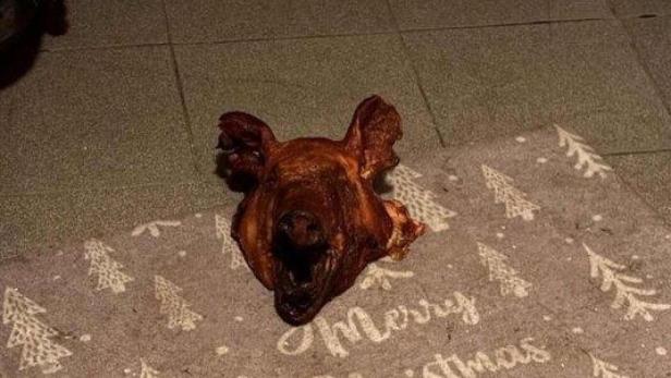 Abgetrennter Schweinekopf auf einem Boden.