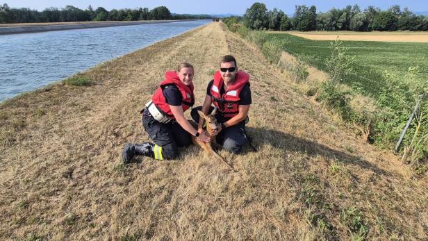 Feuerwehrleute mit Reh