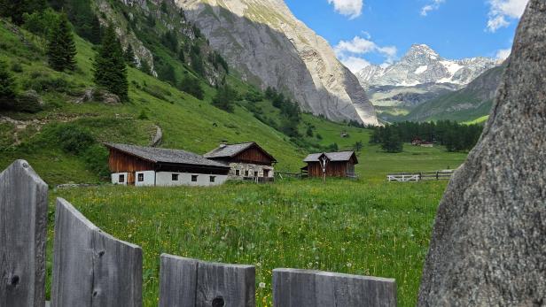 Berghütten auf großer Wiese