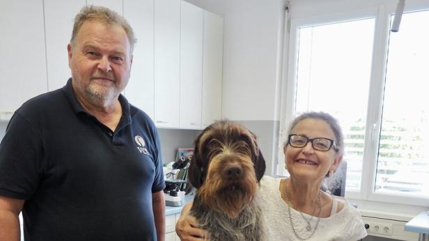 Ein Tierarzt und eine Frau stehen in einer Praxis neben einem auf dem Behandlungstisch sitzenden, zotteligen Hund.