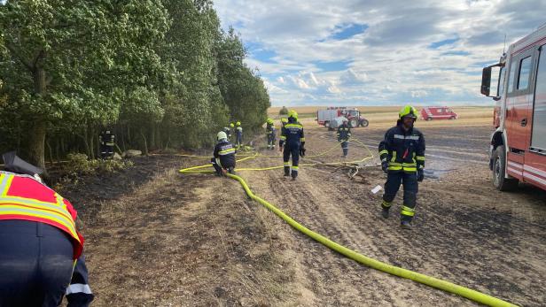 Brand Theras