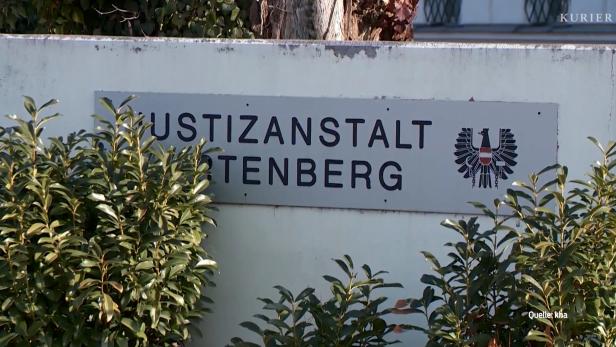 Toter Häftling in Hirtenberg: Kommission zeigt Mängel auf