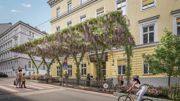 Corneliusgasse, Wien, Mariahilf, Swiftie-Baum