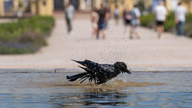 Sommerwetter in Baden-Württemberg
