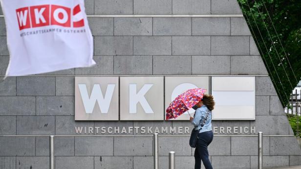 Eine Person mit einem bunten Regenschirm geht vor dem Gebäude der Wirtschaftskammer Österreich (WKO) vorbei.