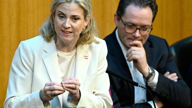 NATIONALRAT MIT GENERALDEBATTE BUDGET UND BUDGETBEGLEITGESETZ: MEINL-REISINGER (NEOS) / TOTSCHNIG (ÖVP)