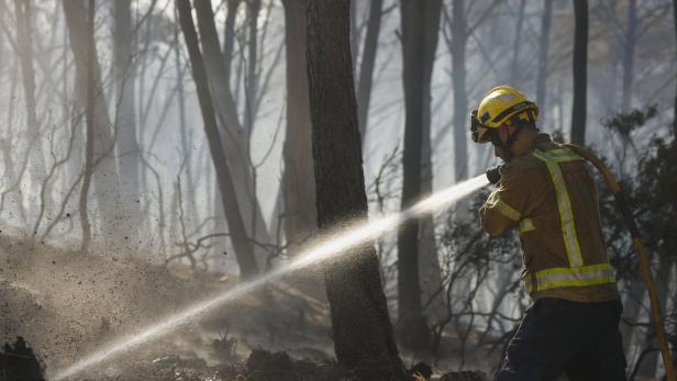 Forest fire in northeastern Spain