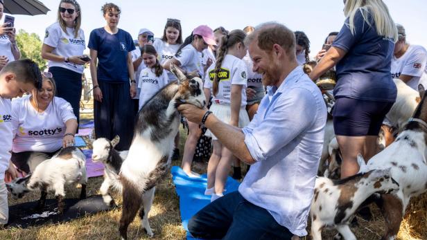 Prinz Harry kniet mit Kindern zwischen vielen Ziegen bei einer Tierbegegnung im Freien.