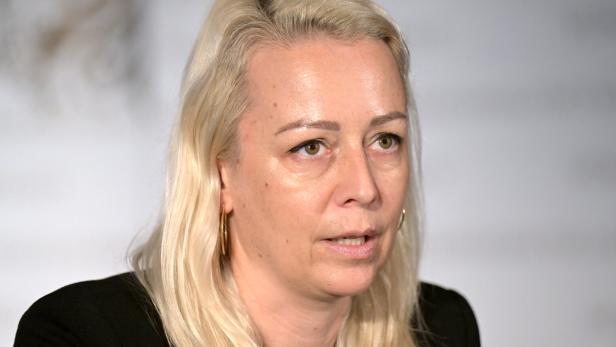 PK "BEHINDERTENRECHTE: HANDLUNGSEMPFEHLUNGEN AN ÖSTERREICH DURCH UN-FACHAUSSCHUSS?: STEGER