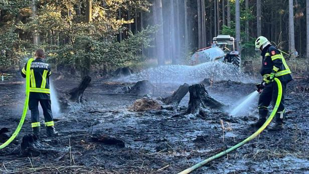Waldbrand Riegersburg