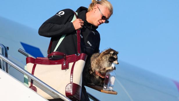 Norway's national football team lands at Oslo Airport, in Gardermoen