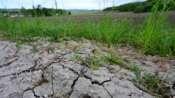 Trockener, rissiger Boden im Vordergrund mit vereinzelten kleinen Pflanzen vor einem weiten Feld unter bewölktem Himmel.