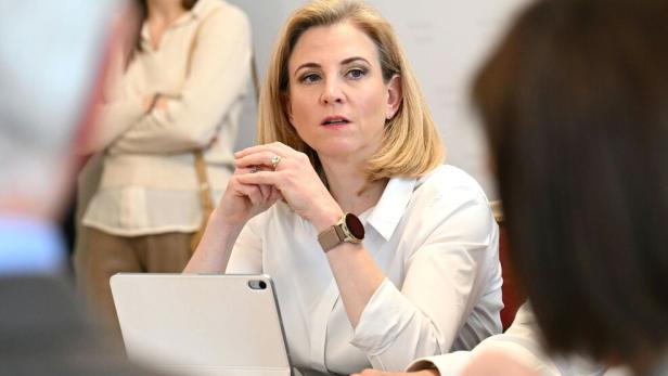 KRISENSTAB IM AUSSENMINISTERIUM: MEINL-REISINGER (NEOS)