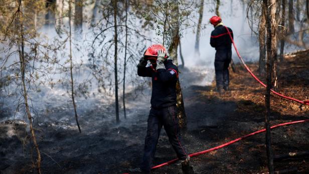 French firefighters battle Fontainebleau forest blaze, in Noisy-sur-Ecole