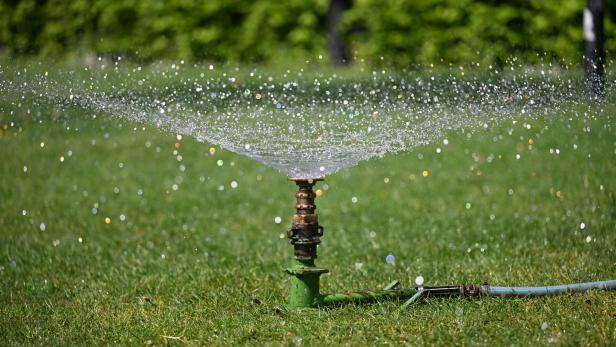 Ein Rasensprenger verteilt Wasser auf einer grünen Wiese.